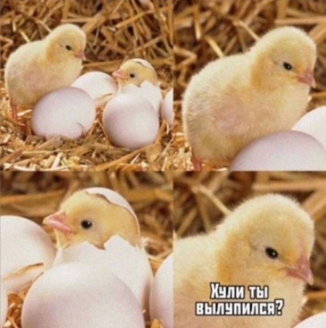 Конкурс Короткого Креатива № 30. Вливайся!