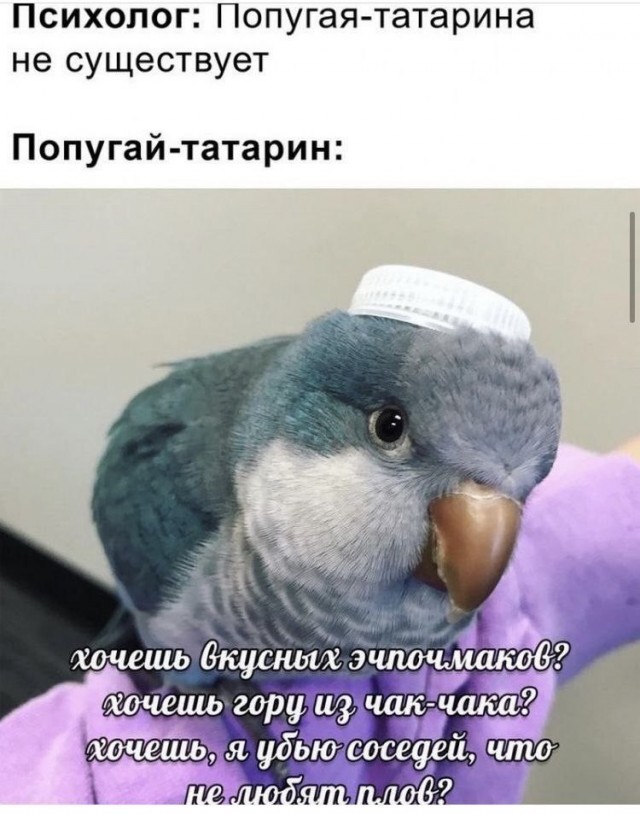 ТРРРидцать тРРРи от 7 мая