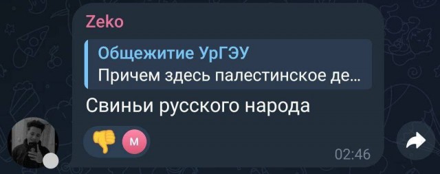 В Екатеринбурге арабские студенты пригрозили побить и изнасиловать других учащихся