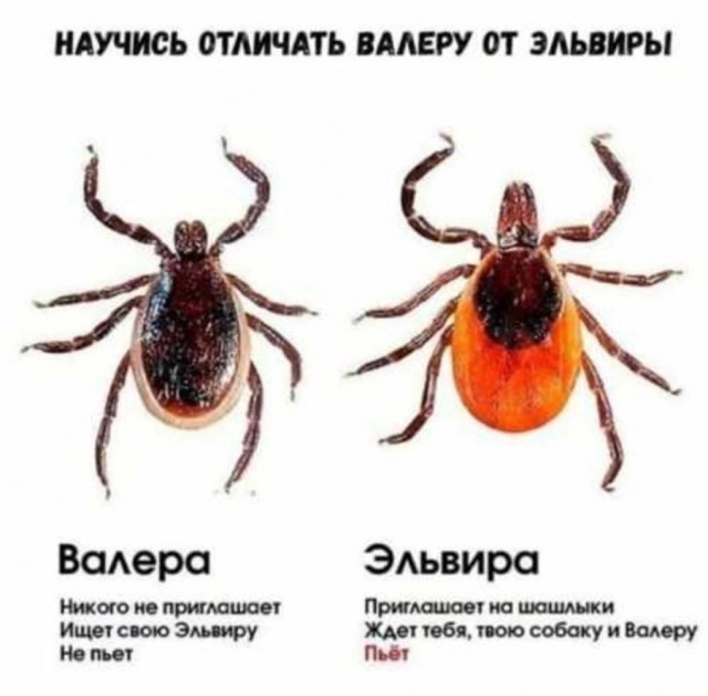 Наскрябыл немного (часть3)