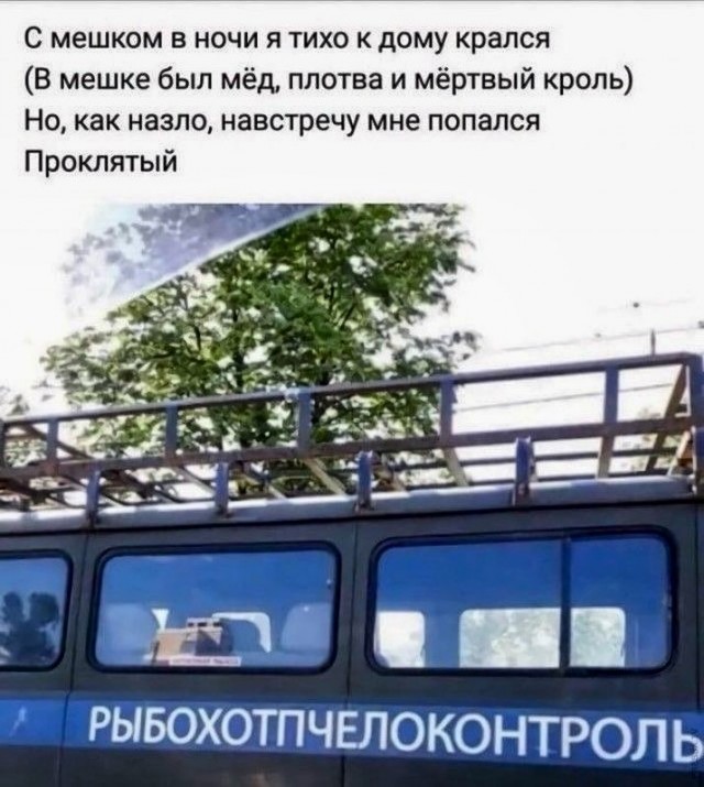 Быстрая деградация
