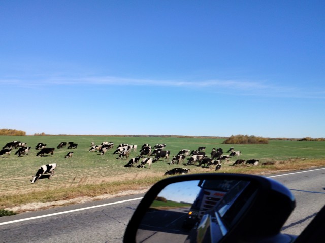 Осень на озёрах 2