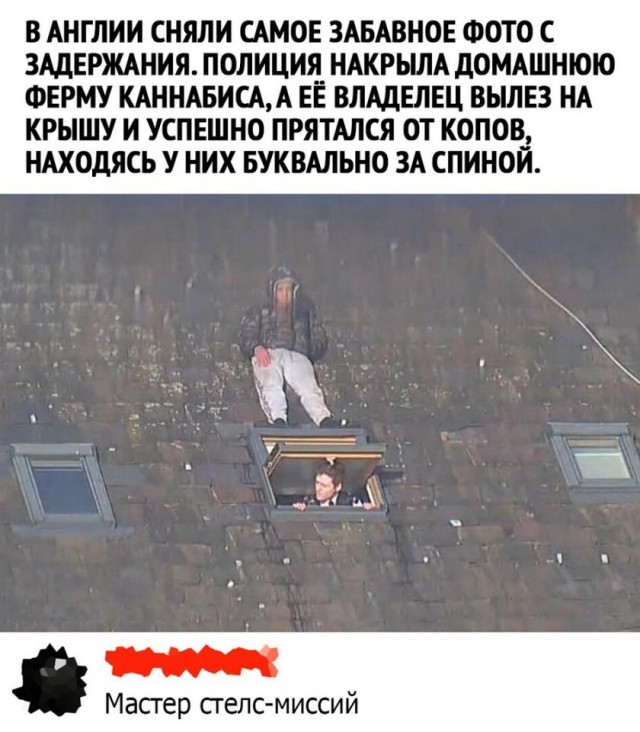 Так себе картинки 23.11.24