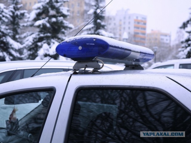 В Химках 11-летняя девочка покончила с собой из-за буллинга в школе