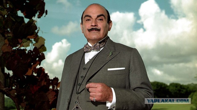 Пёс-джентельмен.