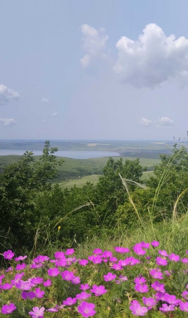 ККК №31 Маски и Звери. Основная лента