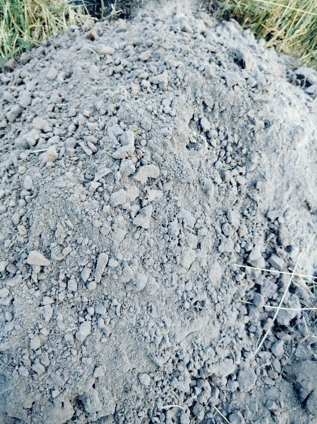 Твердый грунт