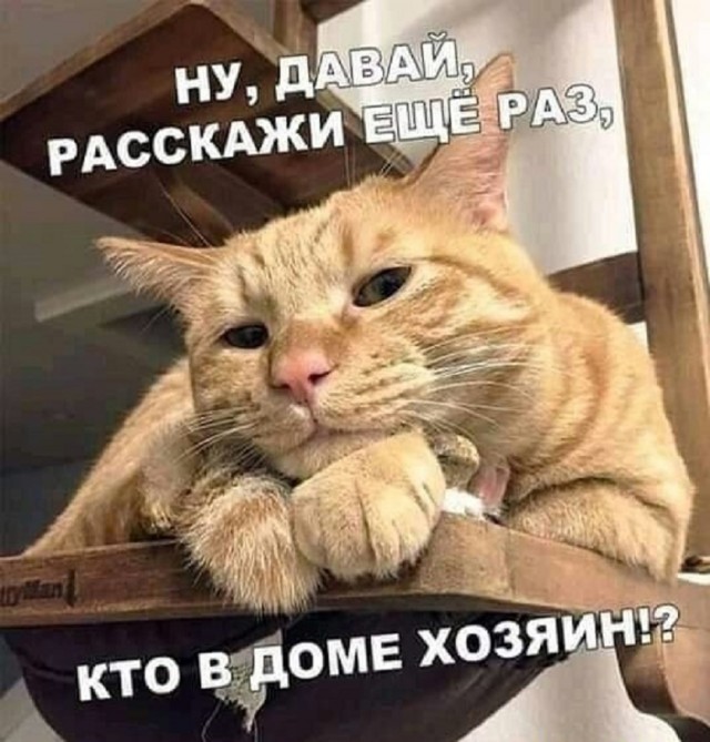 Так себе картинки 22.06.25