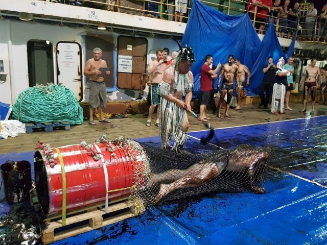 Праздник Нептуна