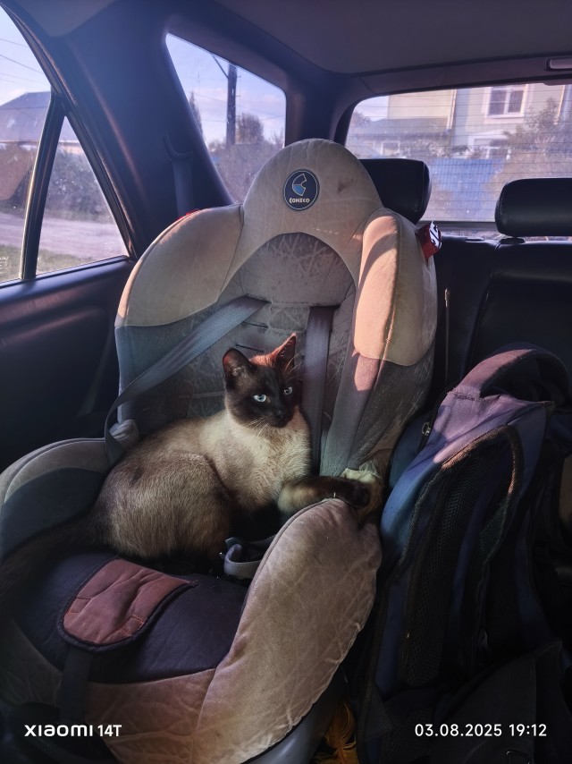 Его первый вторник