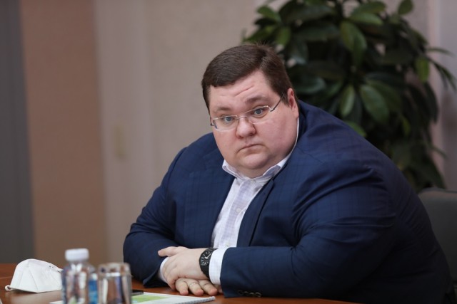 Российским водителям грозит арест за ДТП с голубями