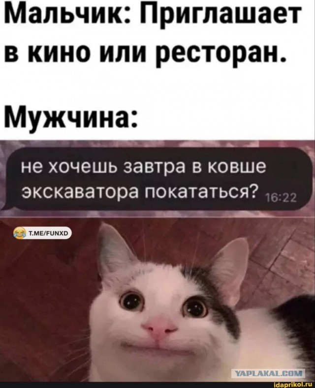 Картинки для деградации 43 (разной степени свежести)