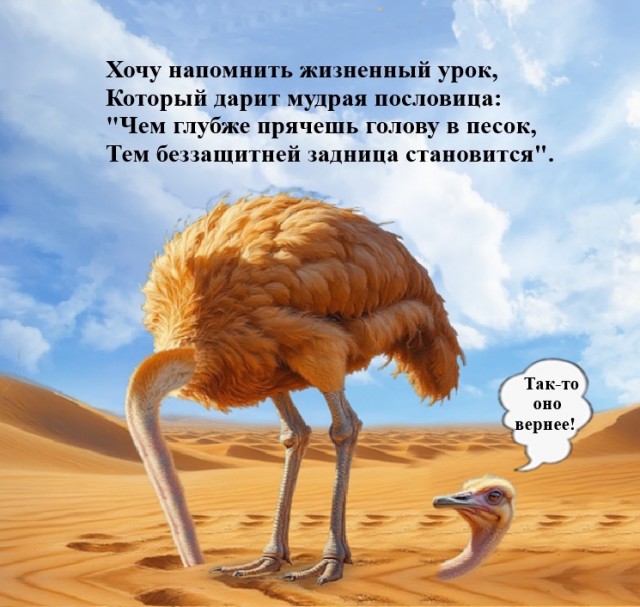 Житейская мудрость.