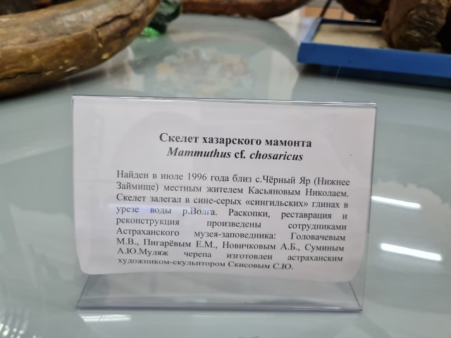 Поездка в палеонтологический музей