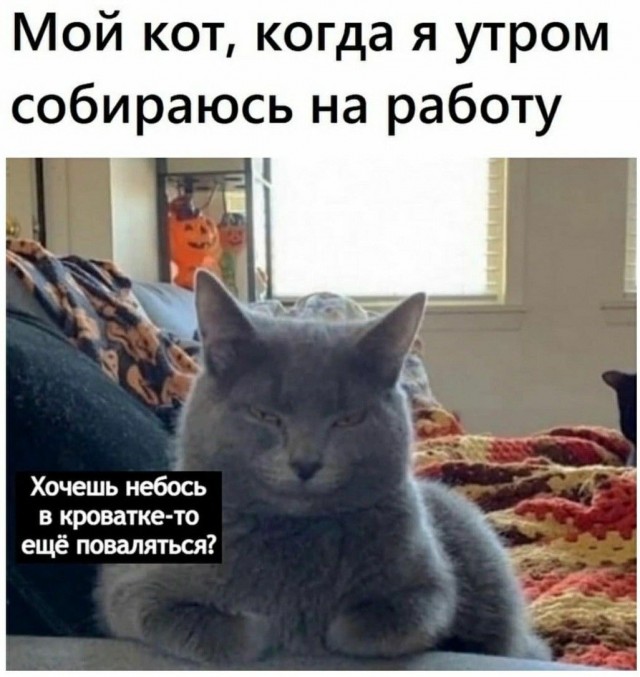 Вторник. Немного картинок