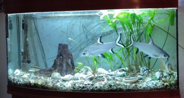 Как простить измену, если она была давно?