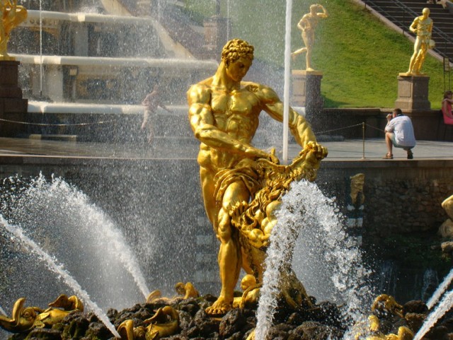 Жри колёса, падла