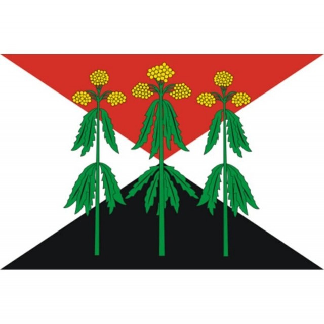 Флаг города РФ