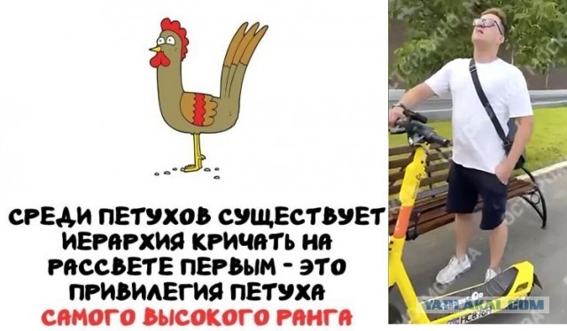 Интересные и короткие факты на все случаи жизни 19.04.26