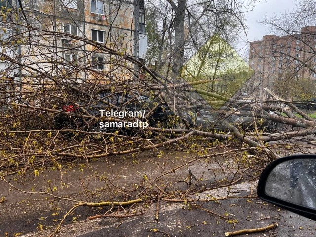 Рухнувшее дерево убило ребёнка в Самаре
