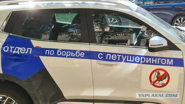 Прекрасные новости из Казани