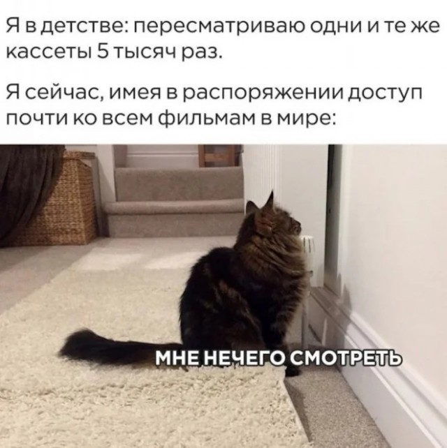 Веселые картинки в пятницу (17.07)