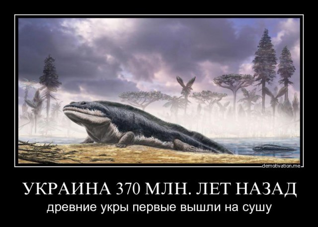 Найден древний череп