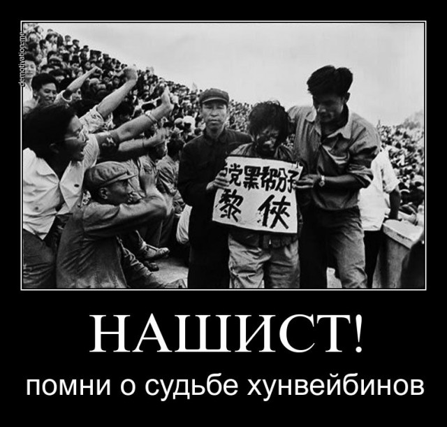 СтопХам 113 Оксана против Хамов