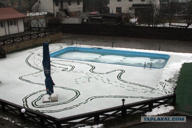 Свадебный подарок