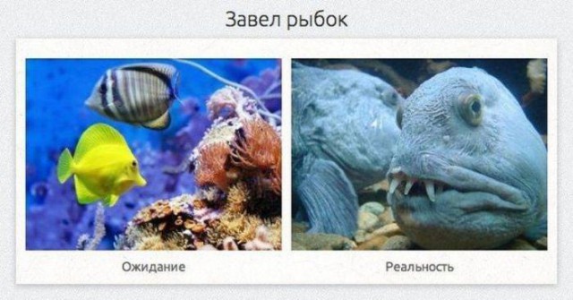 Фотки из интернета.