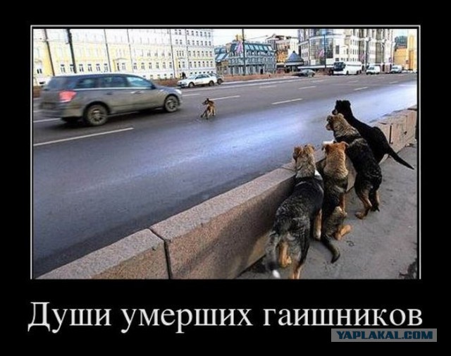 Новые "комментарии из соцсетей"