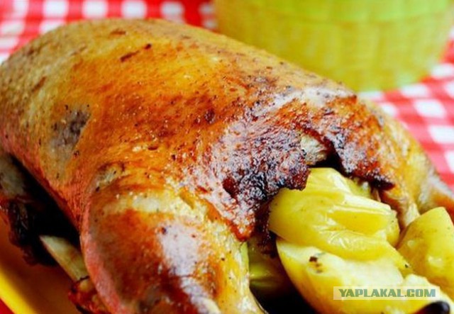 Газовая горелка из того что нашлось под рукой