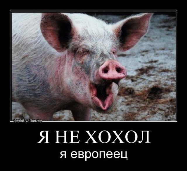И в НАТО не возьмут!