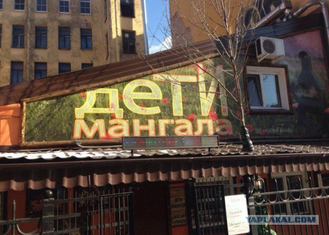 Любите шашлык?