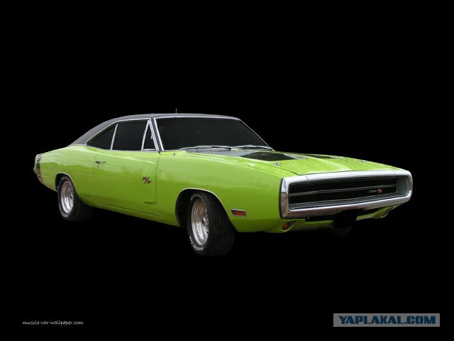 Muscle cars. История сумасшествия