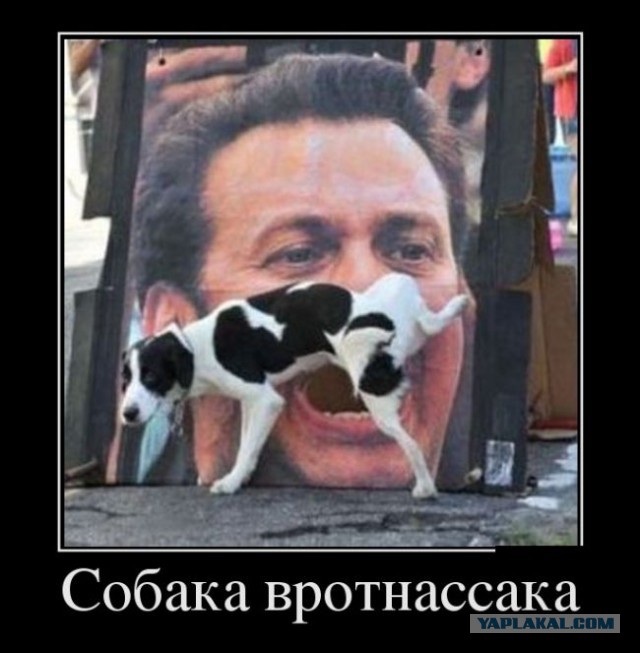 А что, собакочетверг отменили?