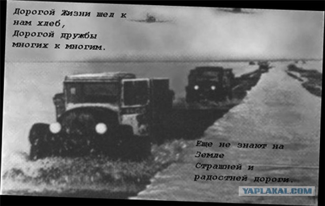 Смоляне на свалке спасают санкционные продукты