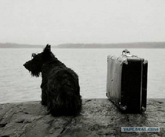 Ретрофотомикс