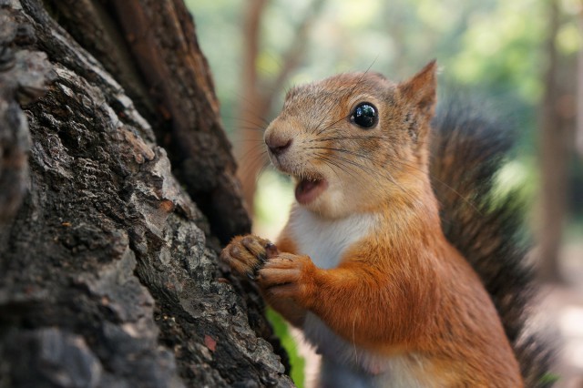 Почему инопланетяне не будут похожи на нас