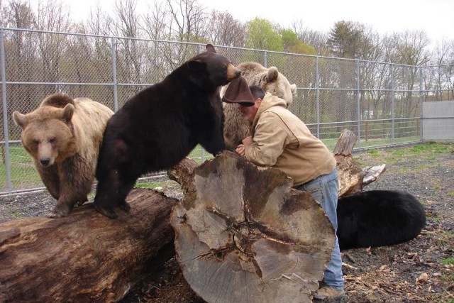 Дружба человека и 700-килограммового медведя