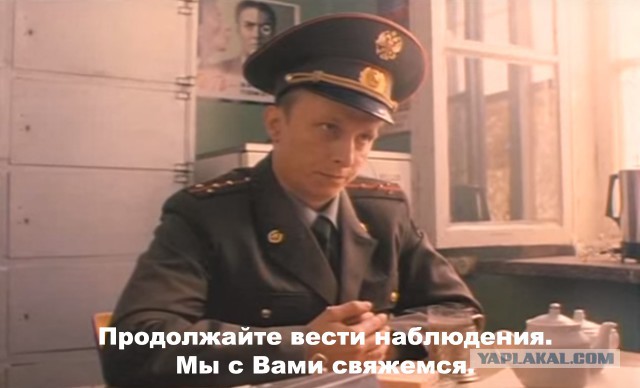 Мир в миллиметре