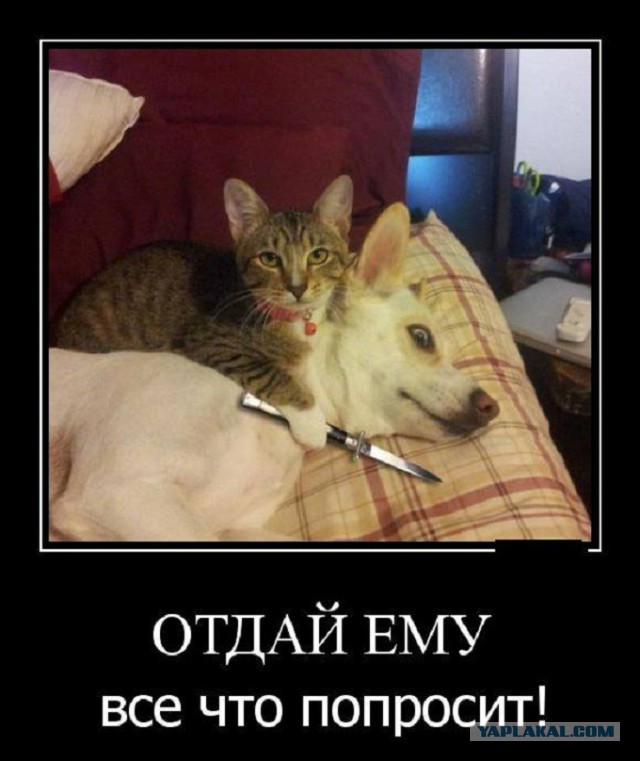 Подборка картинок на среду