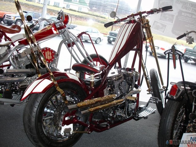 Occ Shop