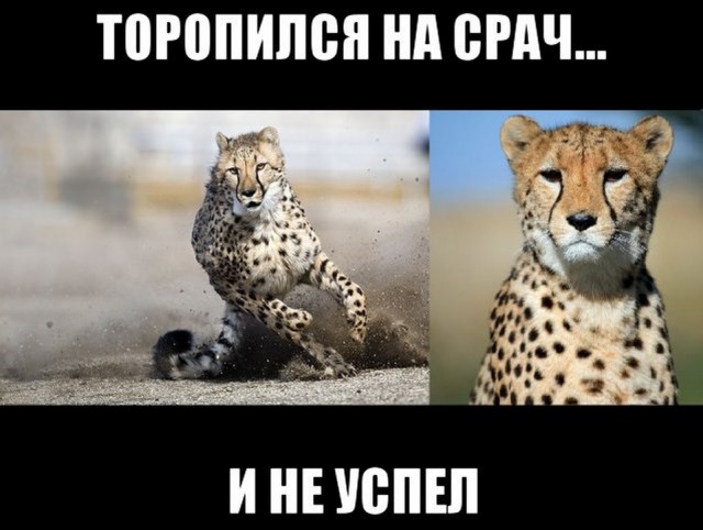 Обязан ли мужчина уступать место в общественном транспорте женщине?