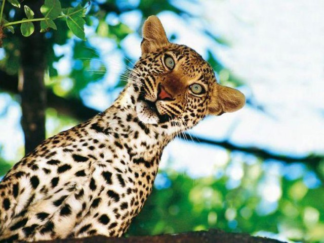 Подборка картинок