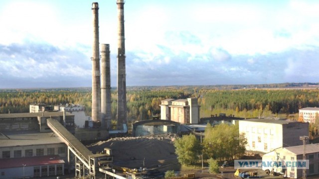 Серый порошок