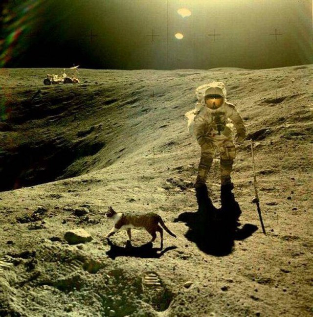 47 лет назад «Аполлон-11» совершил первую в истории посадку на Луну