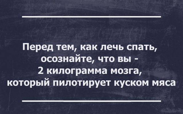 12 доказательств, что сарказм побеждает все!