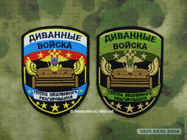 Шойгу: в России созданы Войска информационных операций