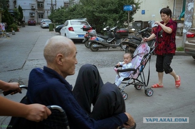 Снимки, сделанные в нужный момент